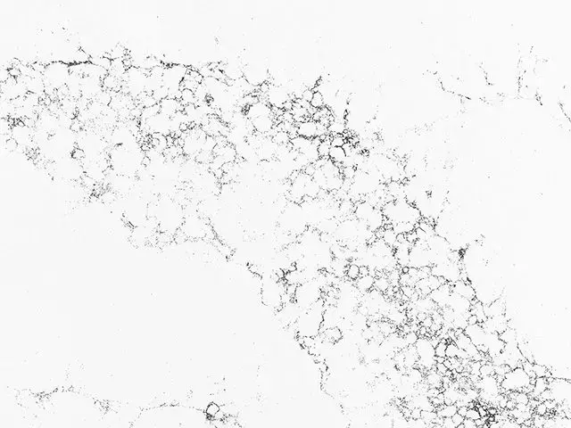 chantilly-marble-countertops-in-wilmington-east-coast-marble